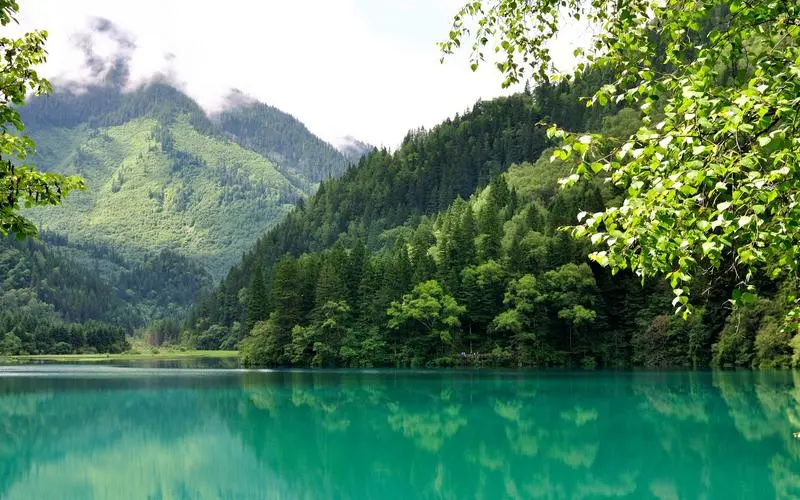 高效智慧高效