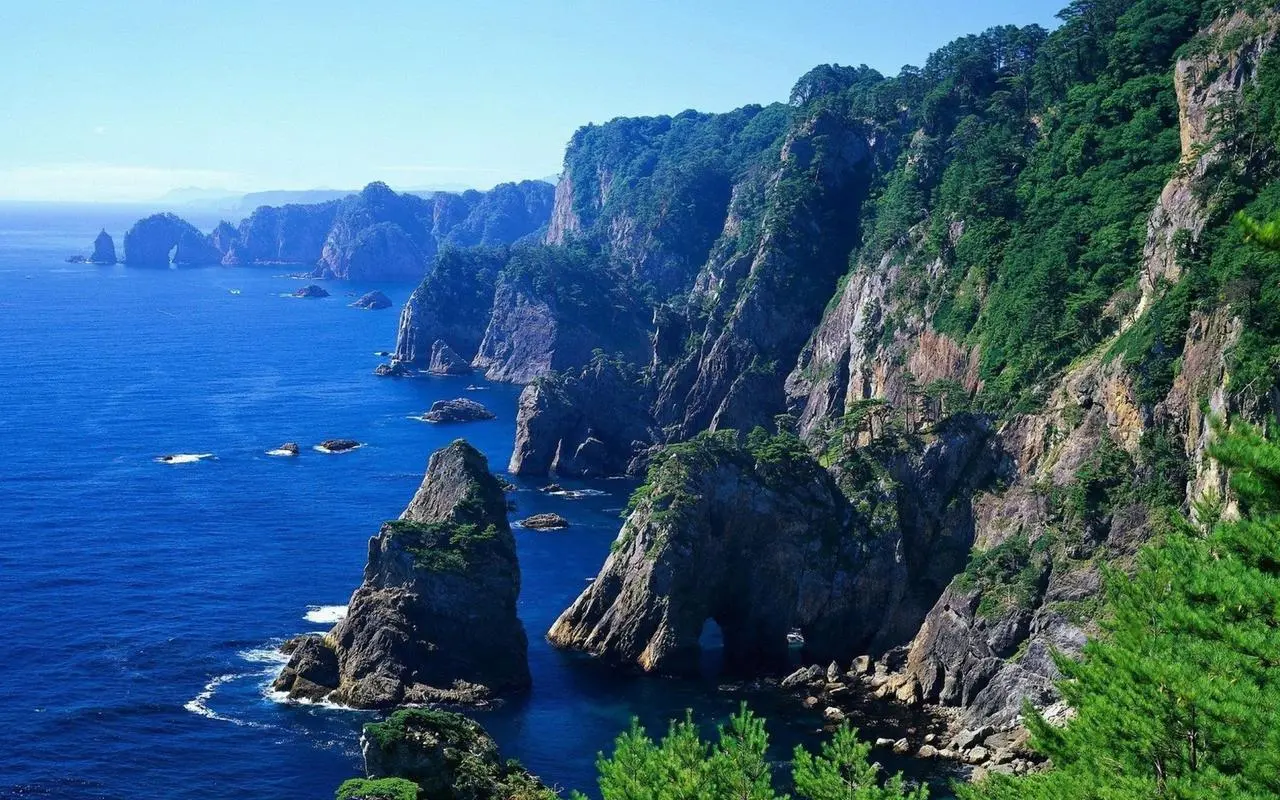 高效全自动